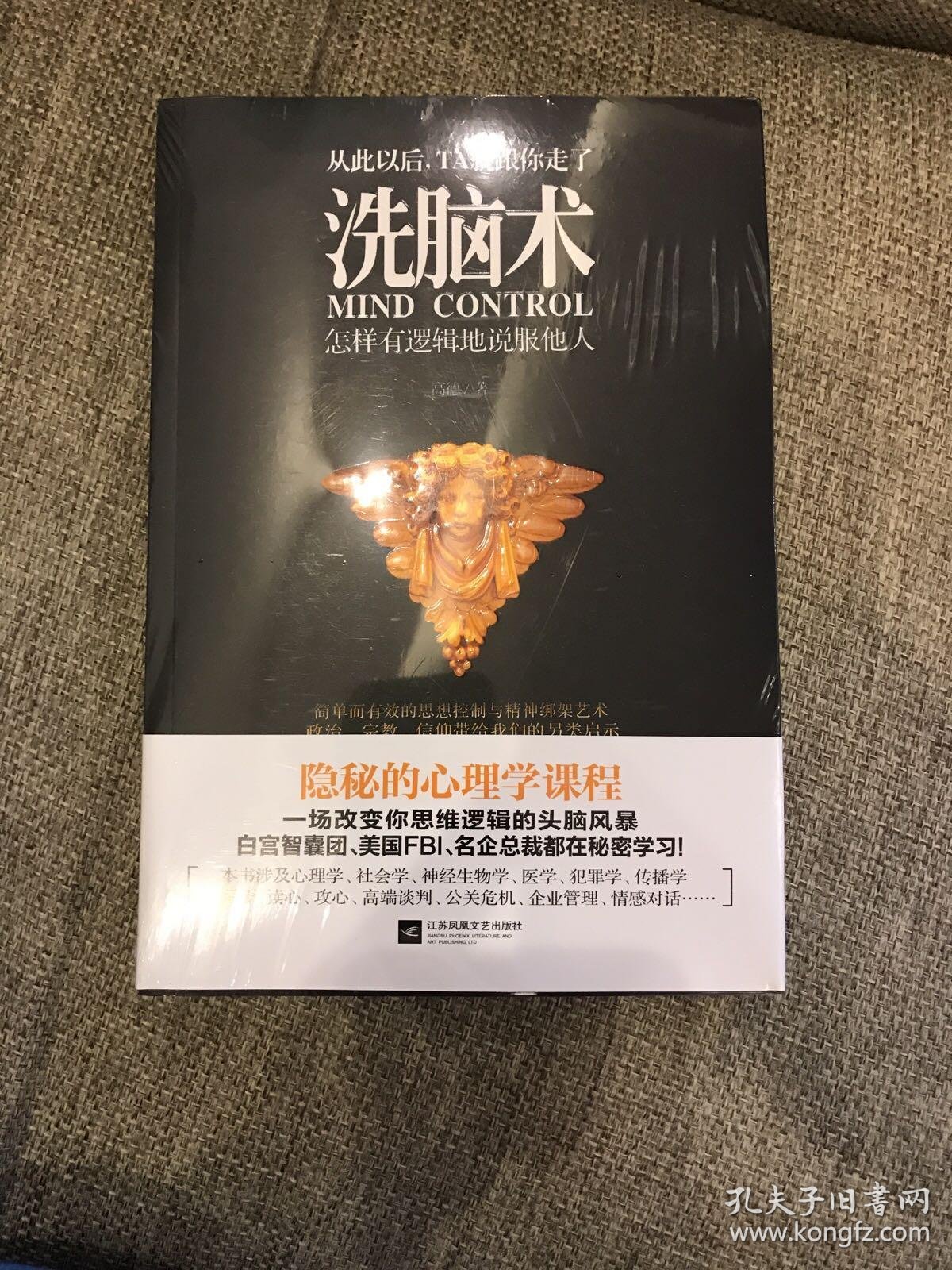 洗脑术:怎样有逻辑地说服他人