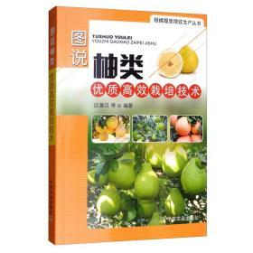 沙田柚柚子树种植技术书籍 图说柚类优质高效栽培技术