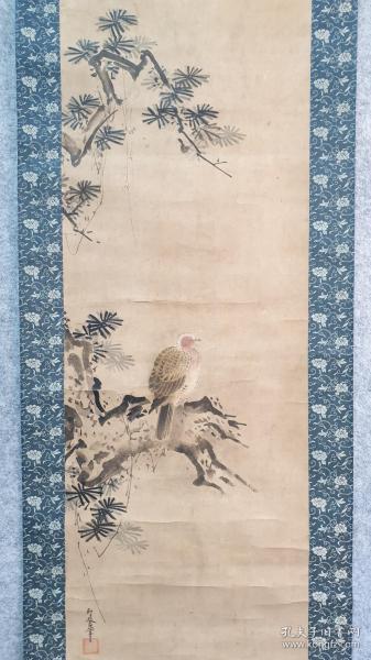 z826号纸本江户前中期名家狩野即誉手绘花鸟包老