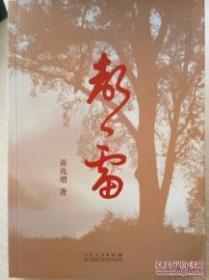 【正版图书 库存现货】声雷