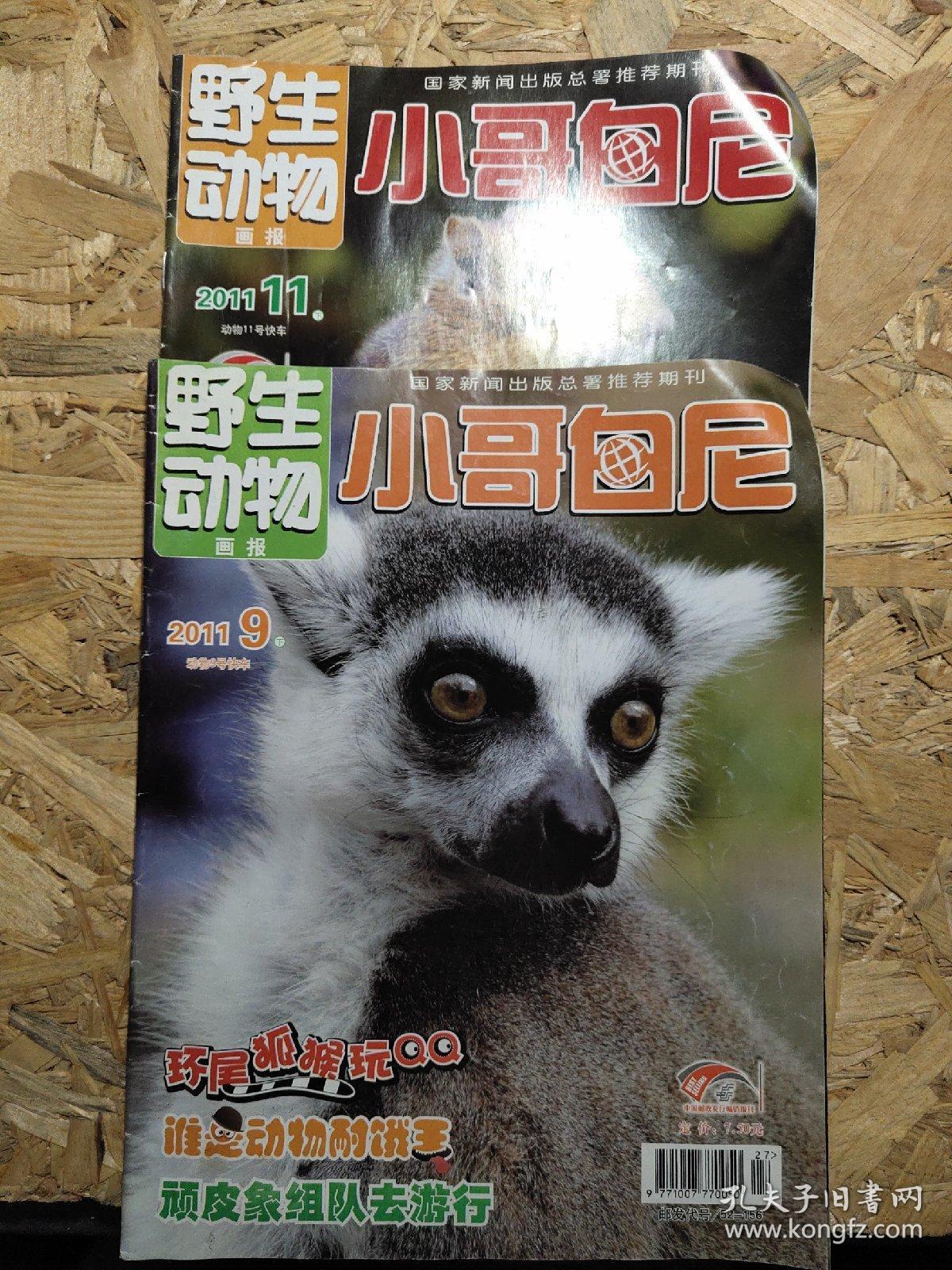 野生动物画报小哥白尼2011年九月下 十一月下