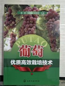 葡萄优质高效栽培技术（2014年出版）
