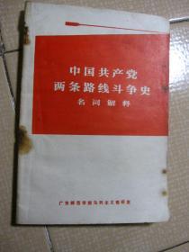 中国共产党两条路线斗争史 名词解释