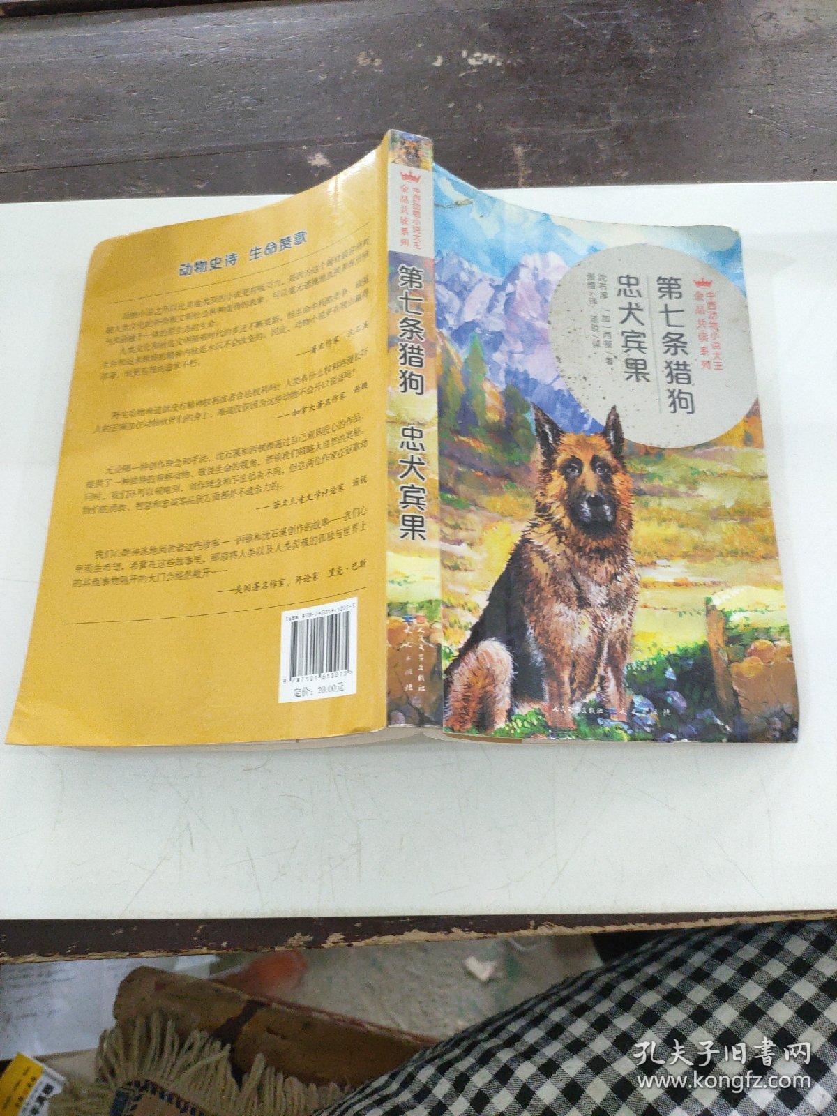 第七条猎狗忠犬宾果