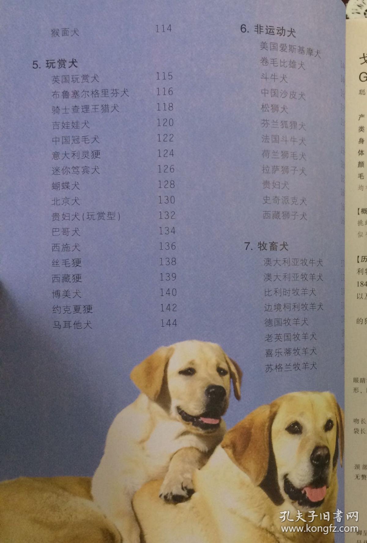 爸爸为女儿圆梦养马 邻居两年来深受其扰哈希娱乐- 哈希游戏平台- 哈希游戏官方网站