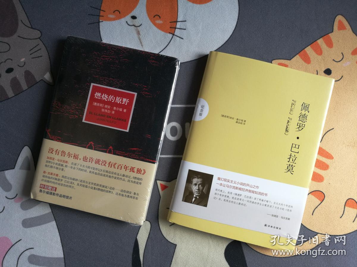 胡安鲁尔福 作品 燃烧的原野 佩德罗巴拉莫 两册 精装 正版