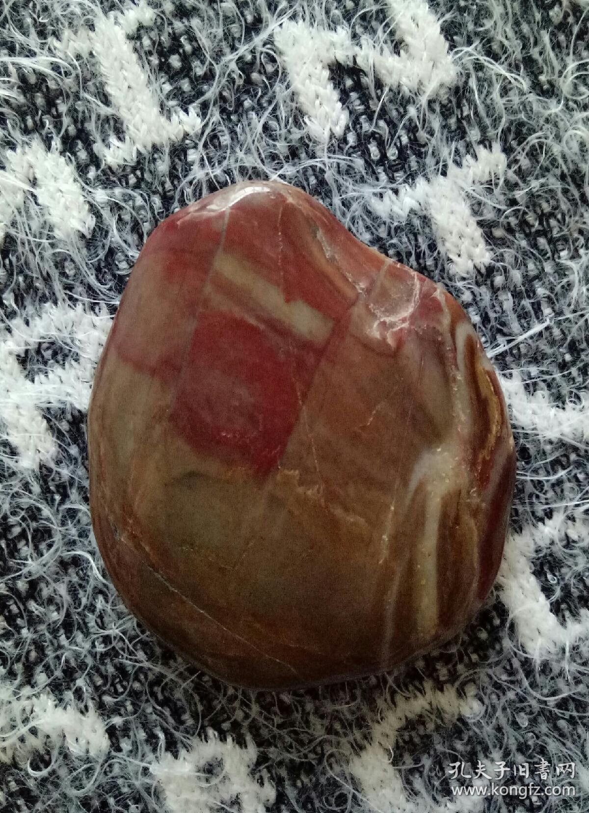 肉化石