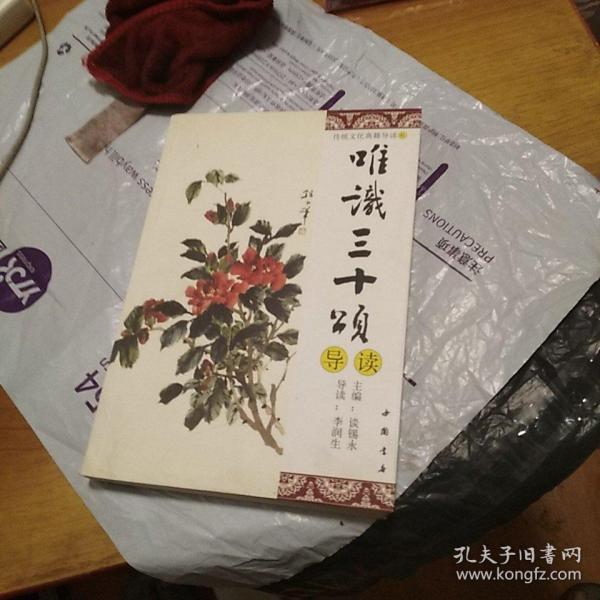 唯识 三十 颂 导读