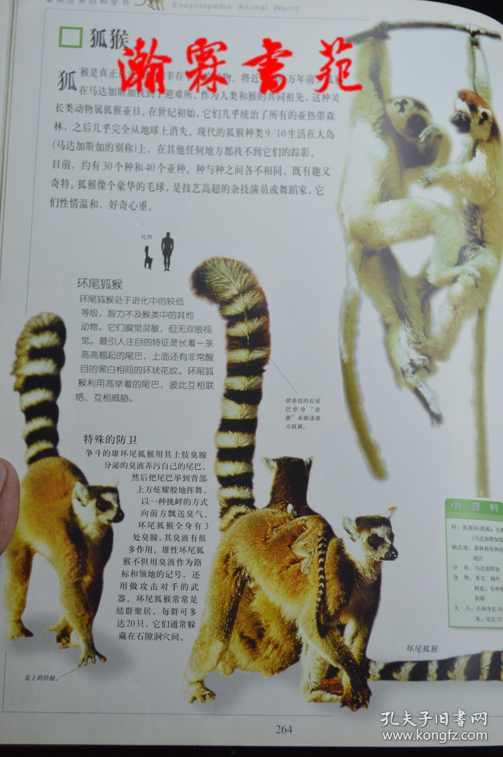 动物世界百科全书(上中下)