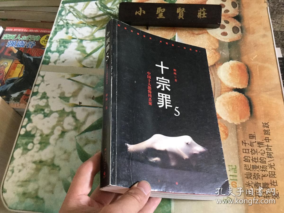 十宗罪5:中国十大凶杀案