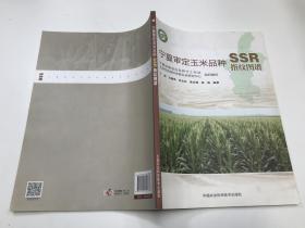 宁夏审定玉米品种SSR 指纹图谱