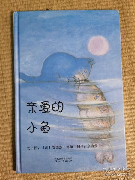 亲爱的小鱼启发精选好书