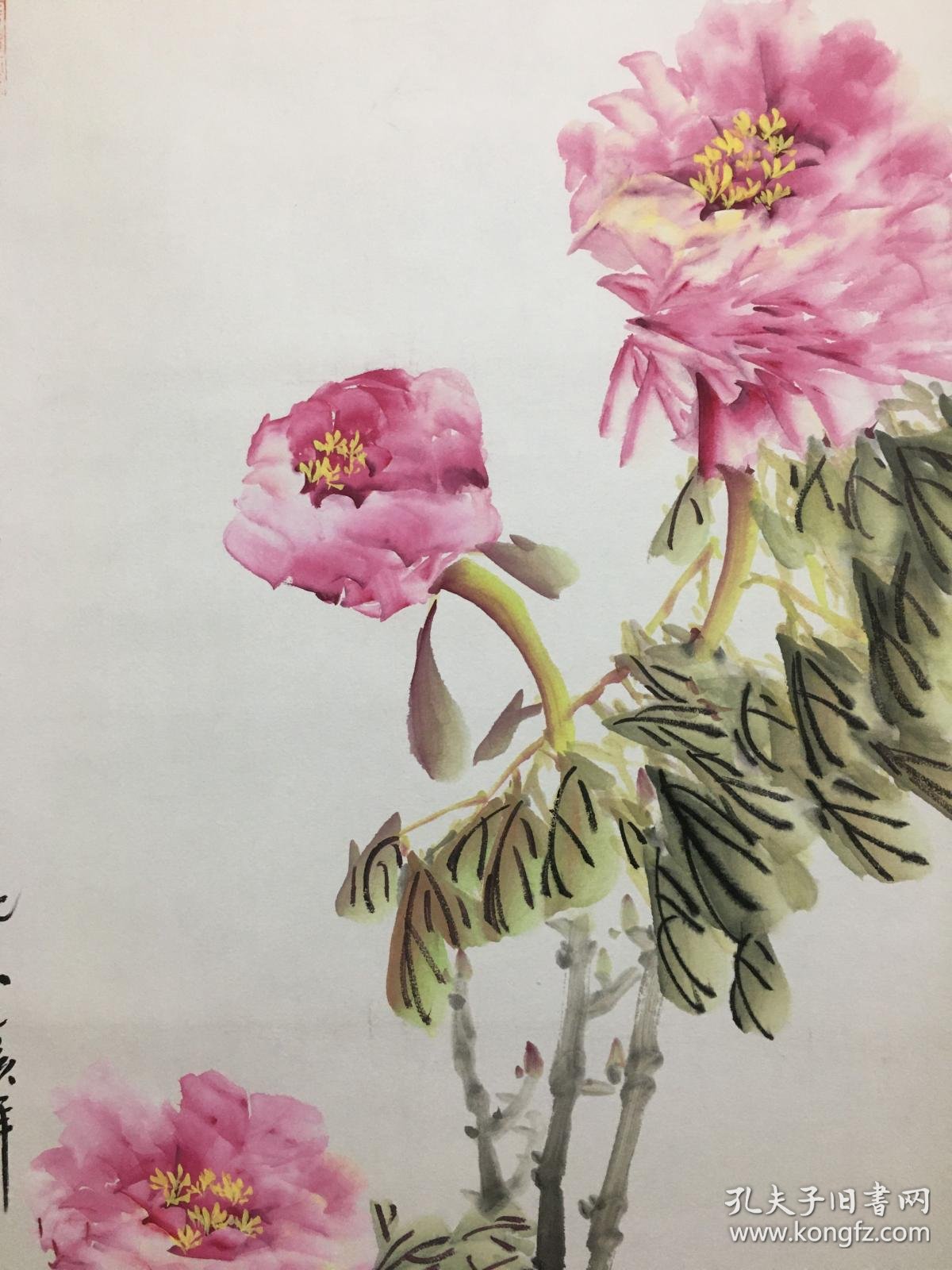 一马世治牡丹图片马世治牡丹马世治国画马世治马世治作品图片马世治