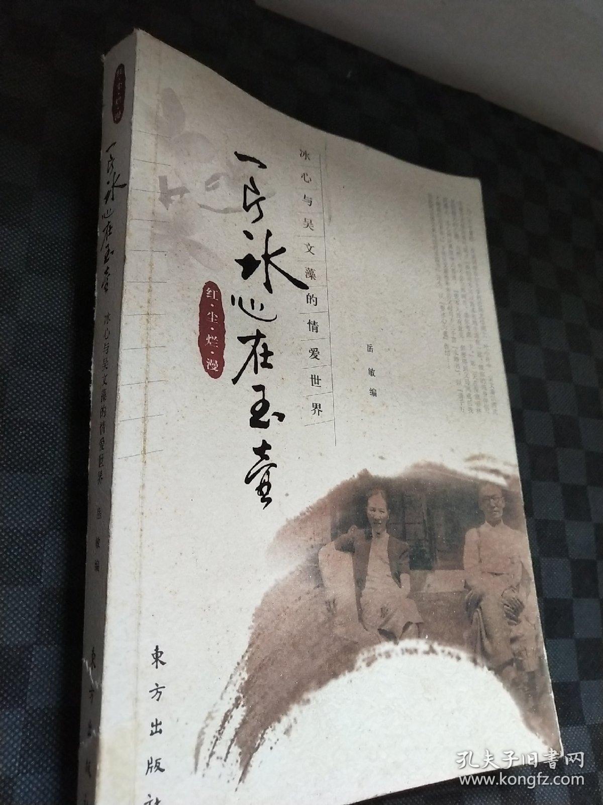 一片冰心在玉壶:冰心与吴文藻的情爱世界 z130273