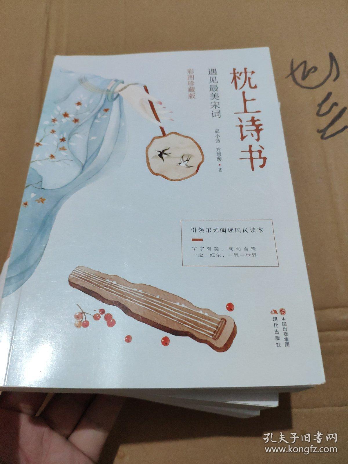 枕上诗书一本书读懂最美古诗词枕上诗书遇见最美宋词彩图珍藏版遇见