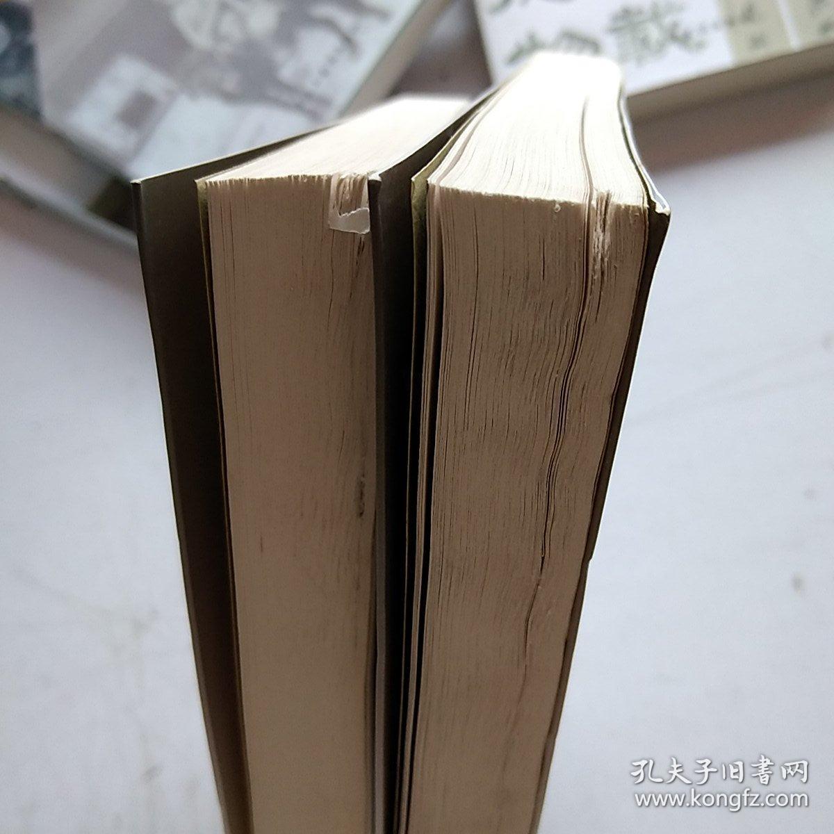 茶陵历史与文化丛书 谭善和传