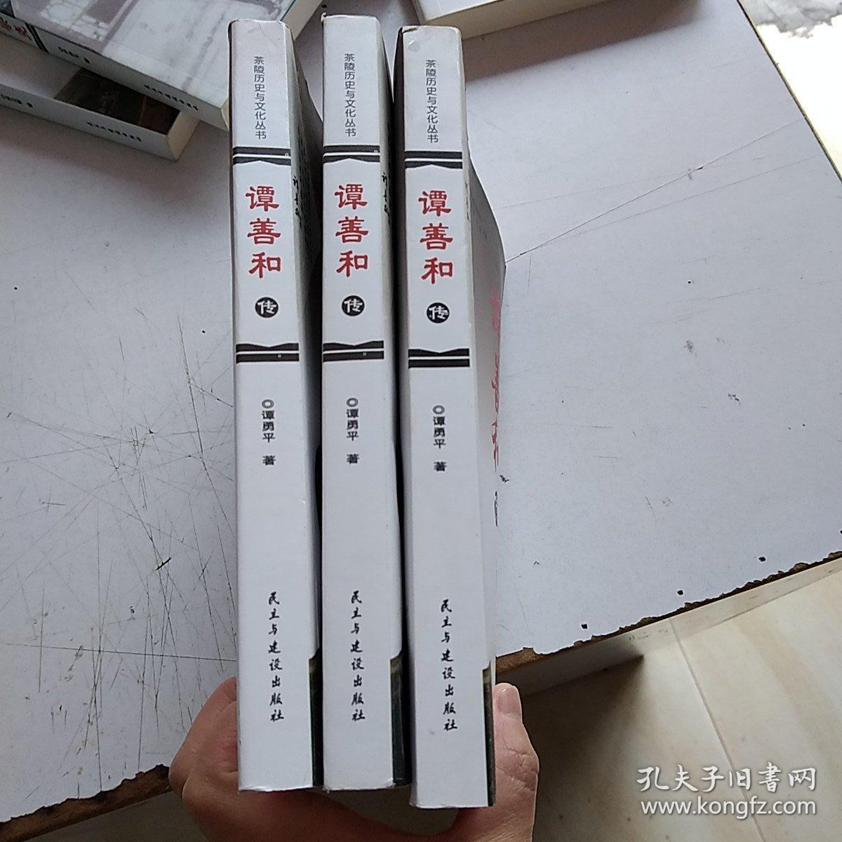 茶陵历史与文化丛书 谭善和传