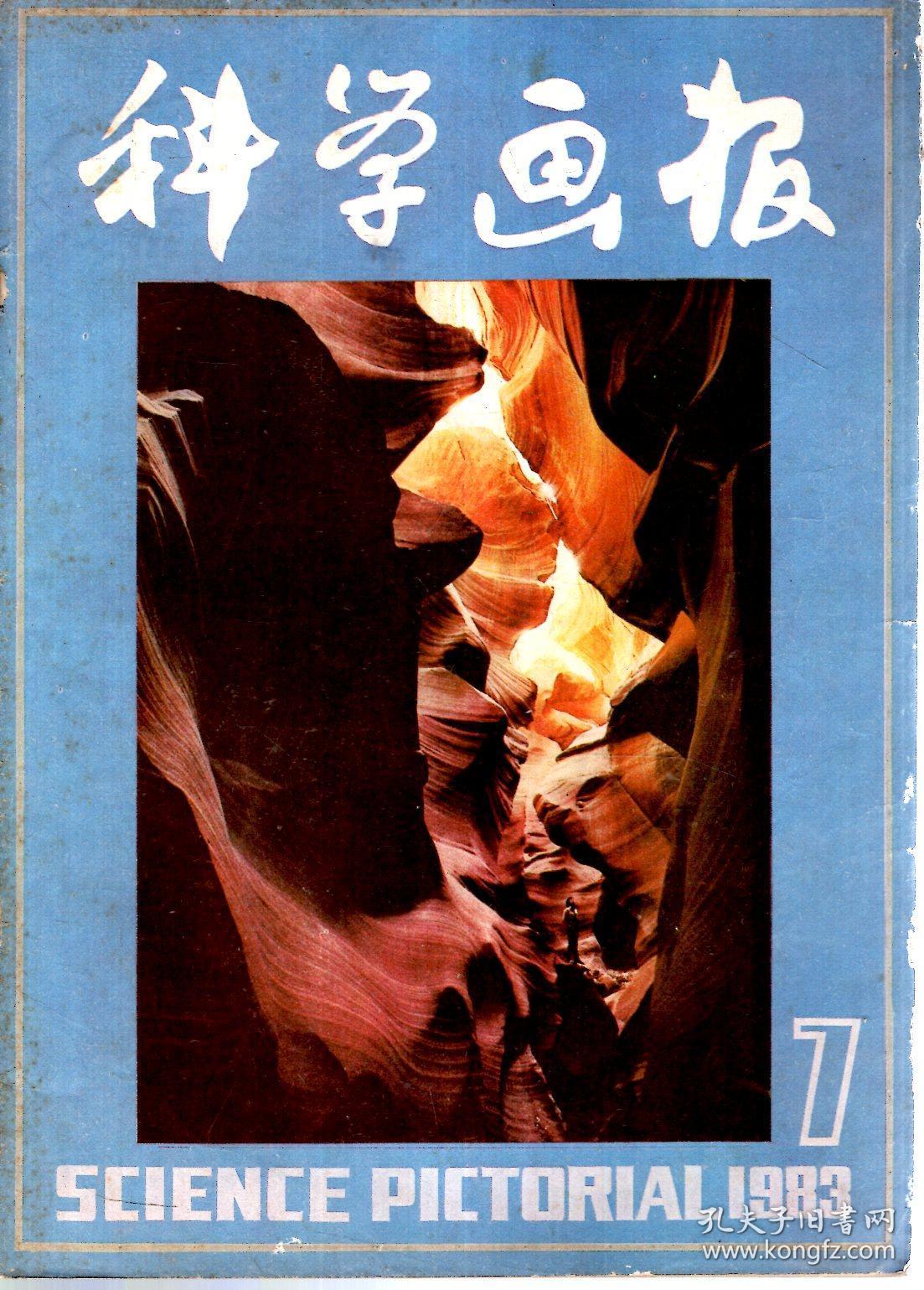 科学画报1983年第1-8,10-12期.11册合售