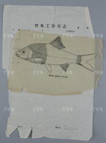 中科院院士、著名考古学家、地质学家 贾兰坡 手稿一页、手绘鱼标本图一页 HXTX312823