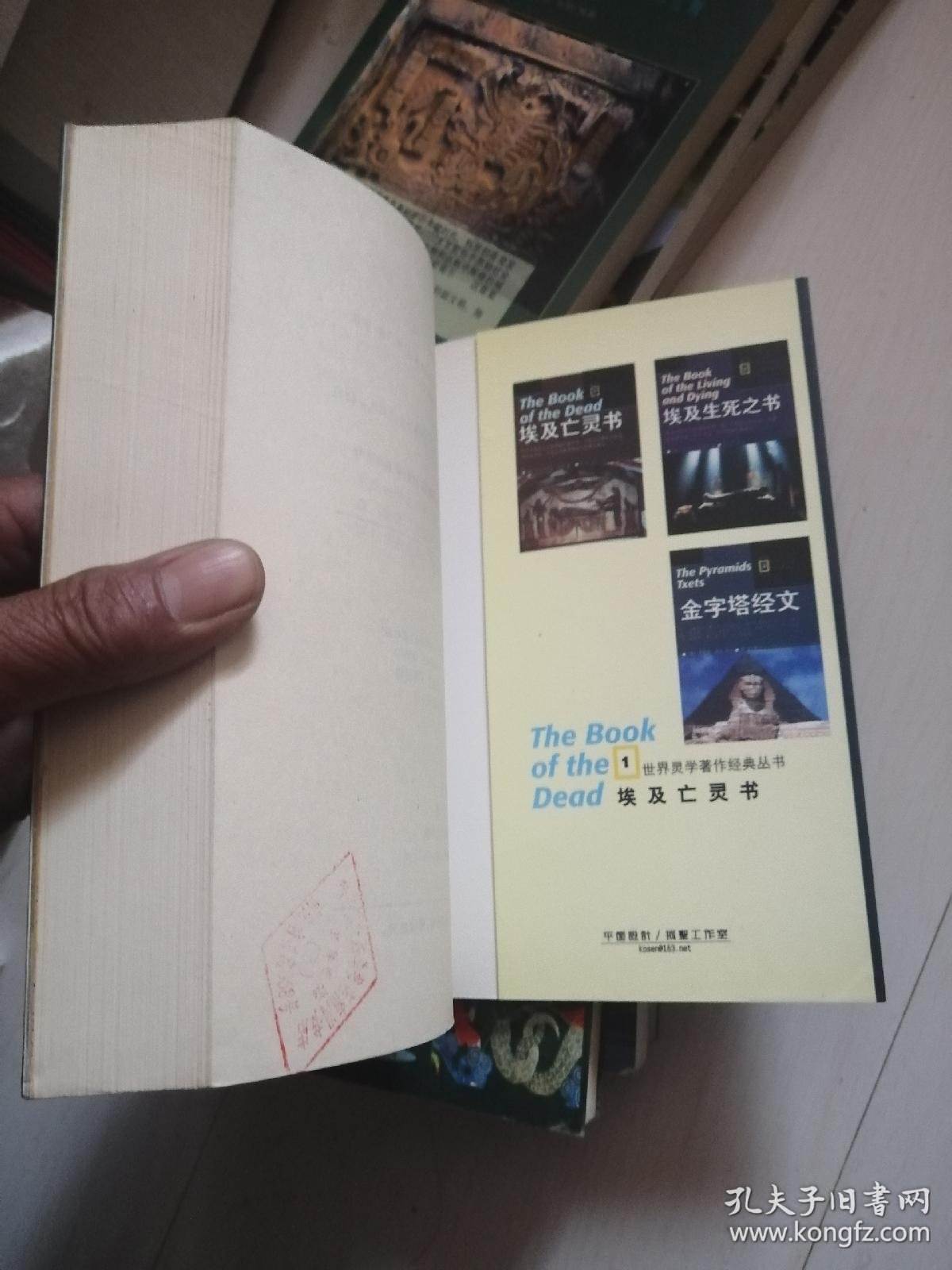 失落的古格王朝,南十字星下的神迹,湮灭的城邦,中国人发现美洲,埃及