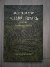 黑龙江省东部中、上侏罗统与下白垩统化石(上册)
