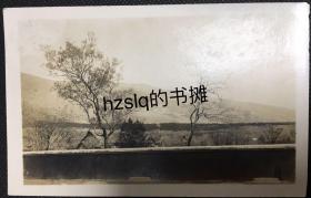 【照片珍藏】民国南京中山陵初建时周边风光摄影，画面中间为祭堂侧影。老照片方位内容少见、影像清晰，颇为难得