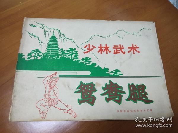 少林武术鸳鸯腿(根据翁丽聪祖传秘本汇编)