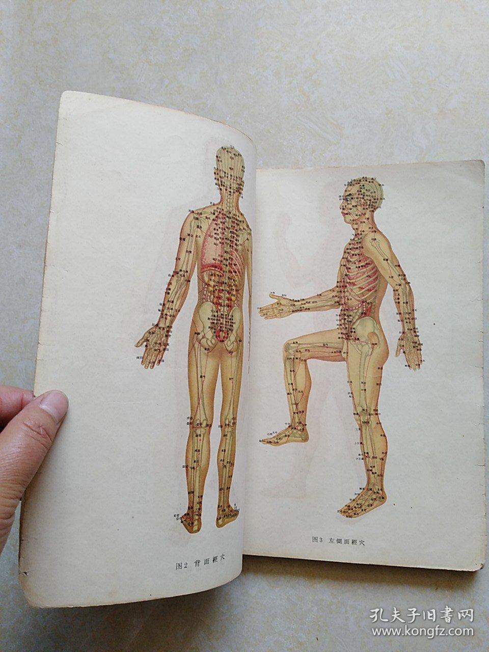 《针灸腧穴图谱》1965年一版一印 请看详细描述