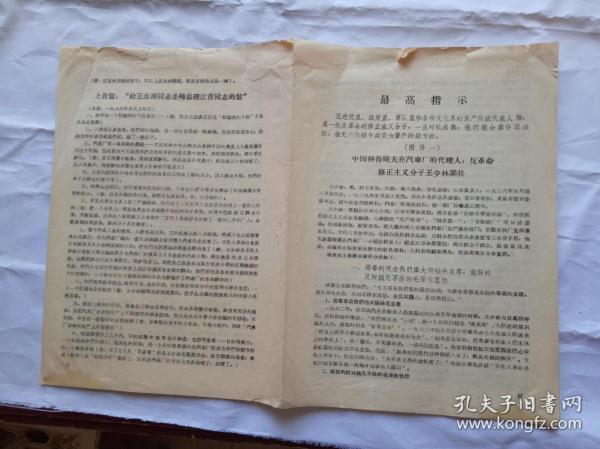 严词批判：正版资料免费公开大全详细解答、解释与落实