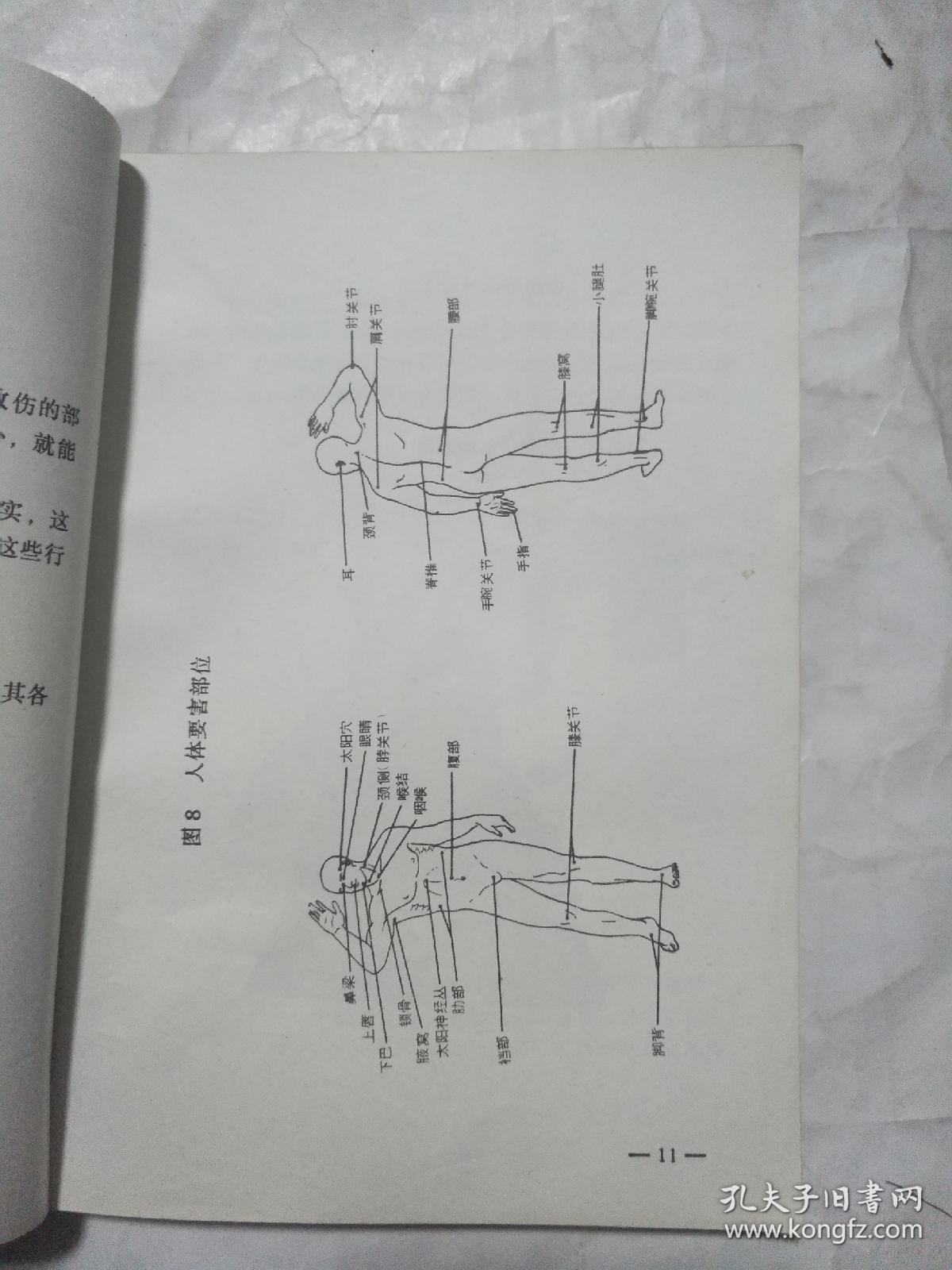 格斗组合1-5套讲解视频教学(格斗组合15套讲解视频教学下载)