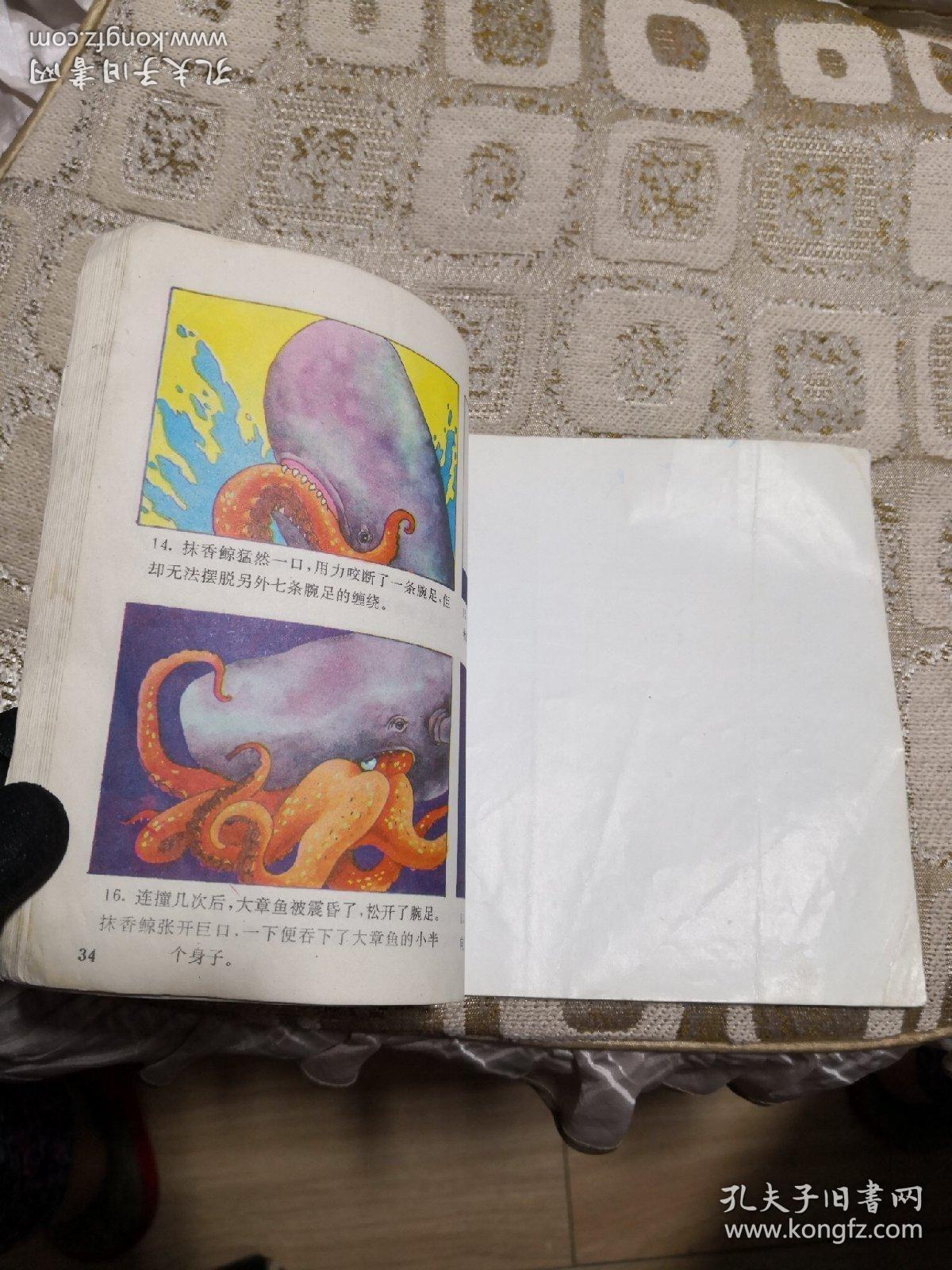 24k彩色连环画 动物大战故事(1)