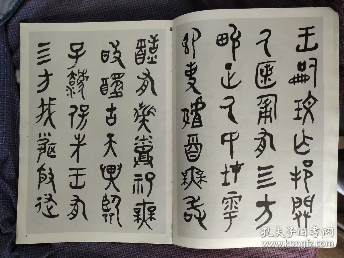 名家临书系列 黄宾虹临大盂鼎 书法碑帖类