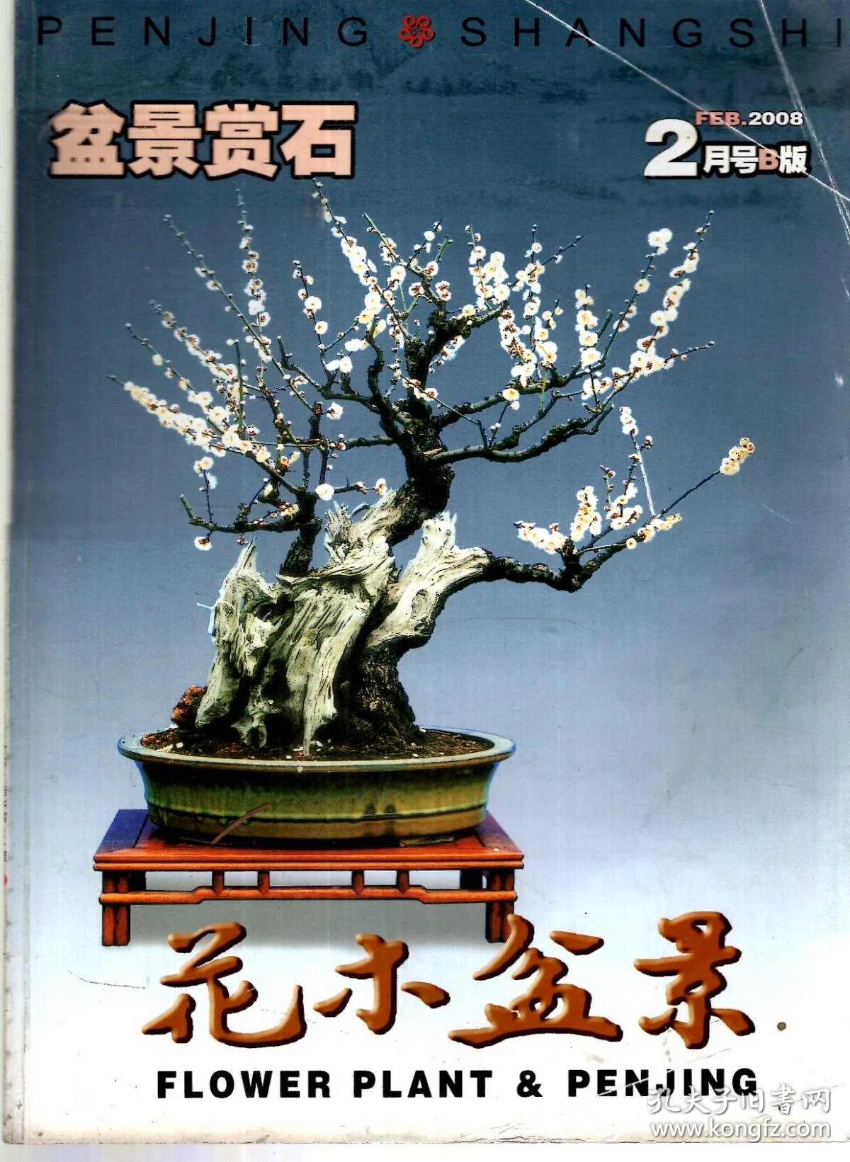 中国花卉盆景2008年第2期b版