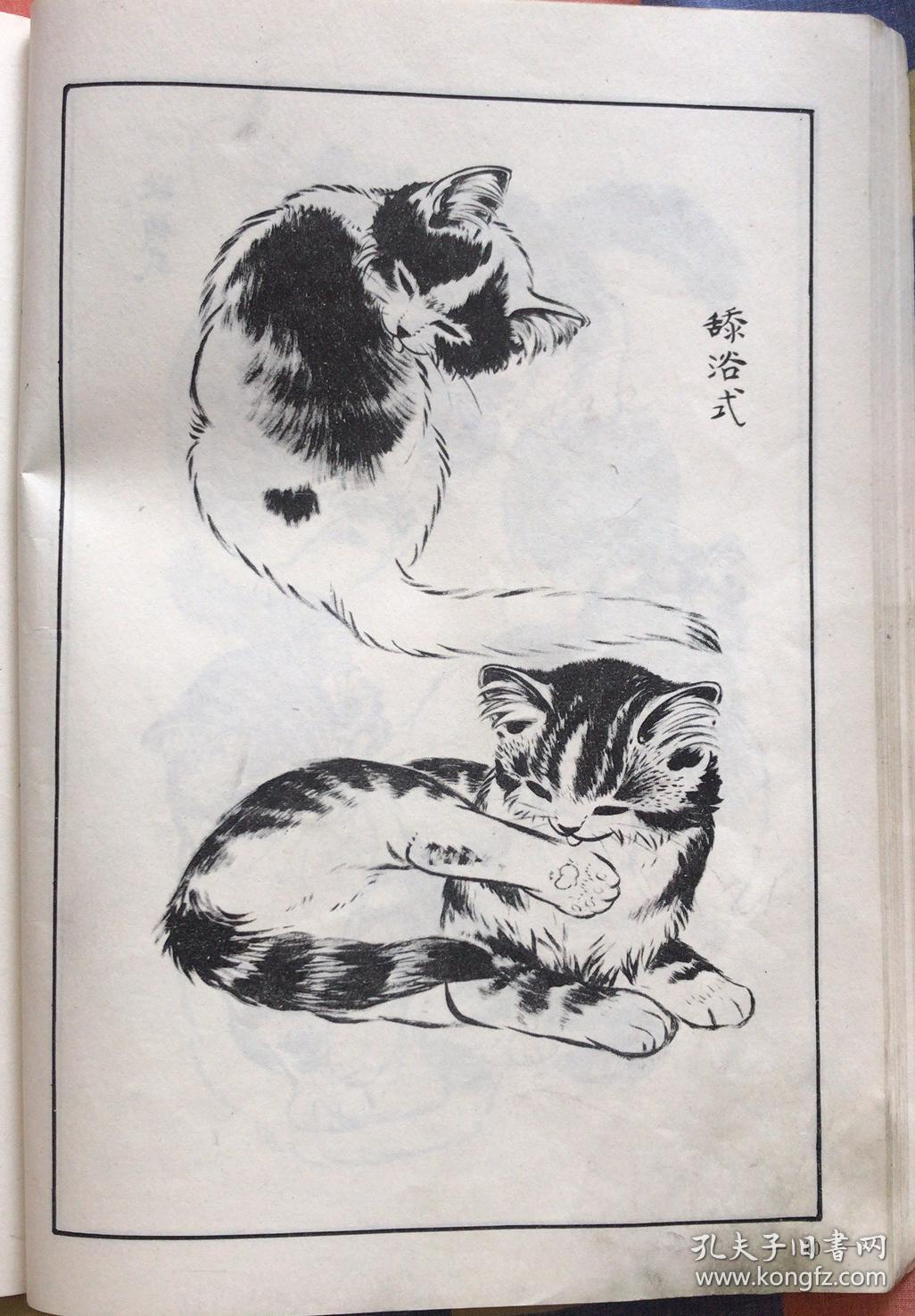 中国古代名猫谱图图片