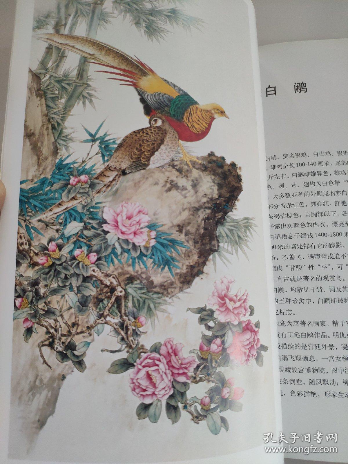 中国工笔画:雉鸡锦鸡白鹇鹦鹉画法 劳鸿宝 著 根据广大读者需求