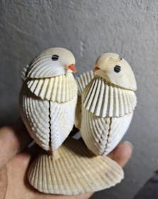貝殼鳥造型