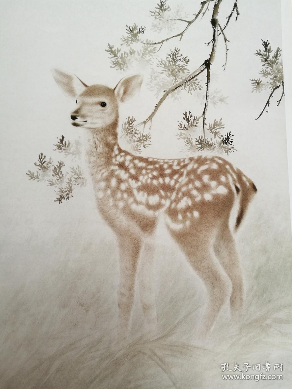 当代实力派中国画名家技法 工笔动物画法(工笔小鹿技法 工笔小熊猫