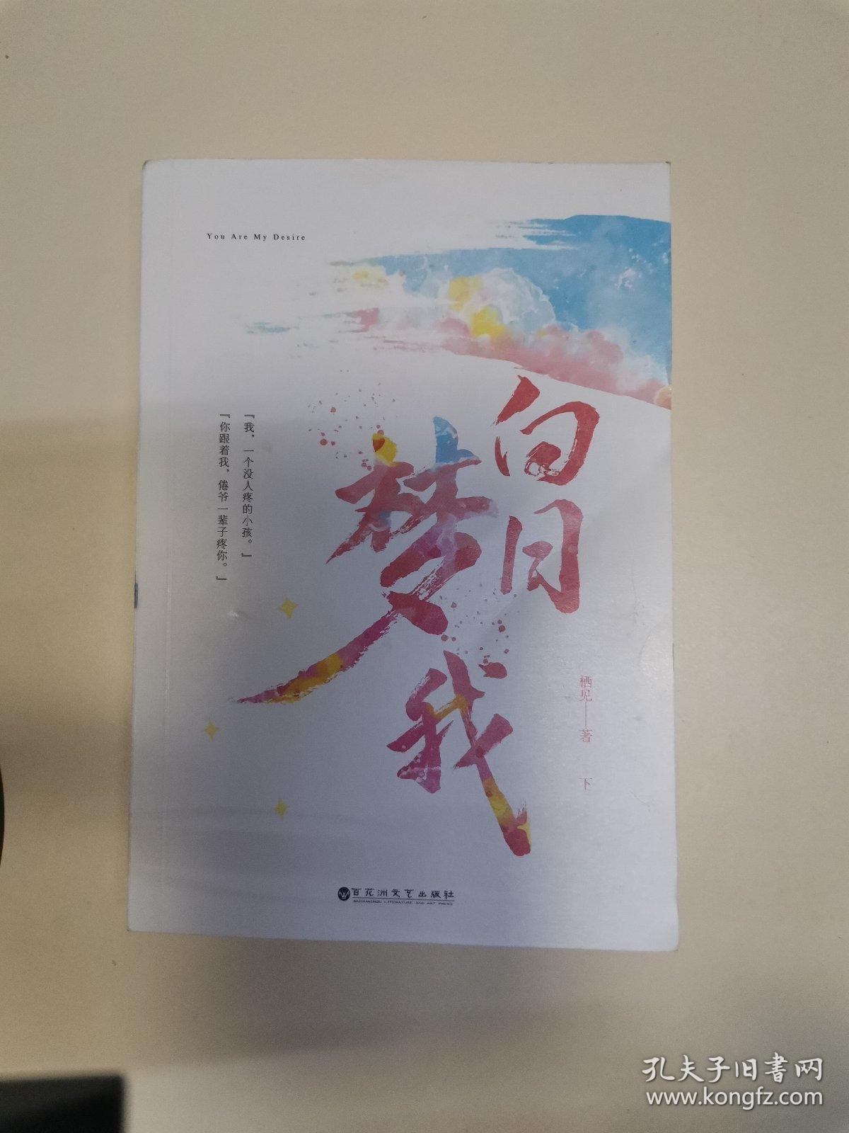 白日梦我(下册)