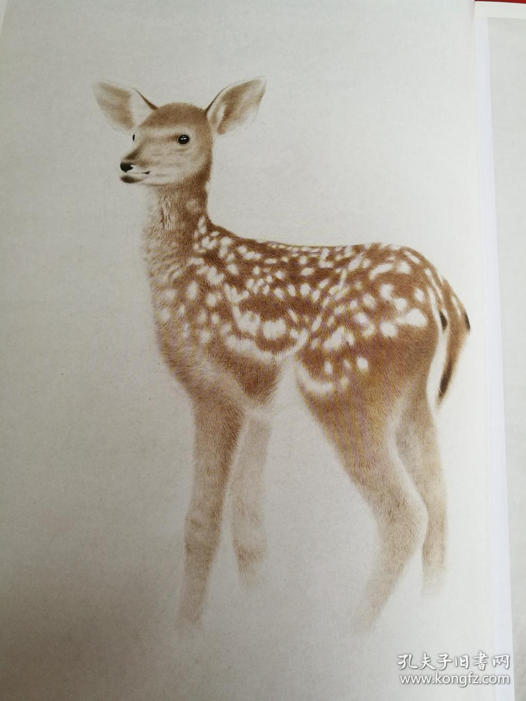 当代实力派中国画名家技法 工笔动物画法(工笔小鹿技法 工笔小熊猫