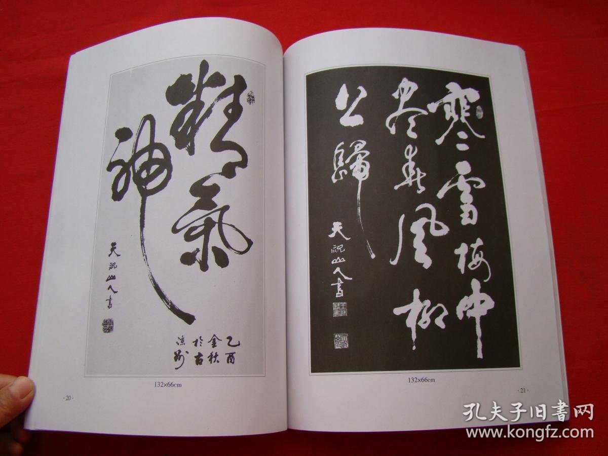 天祝山人书法集_王述麟_孔夫子旧书网