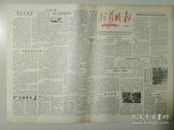 天鹅复音2408追梦人口界怎样_追梦图片