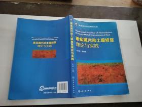 重金属污染土壤修复理论与实践