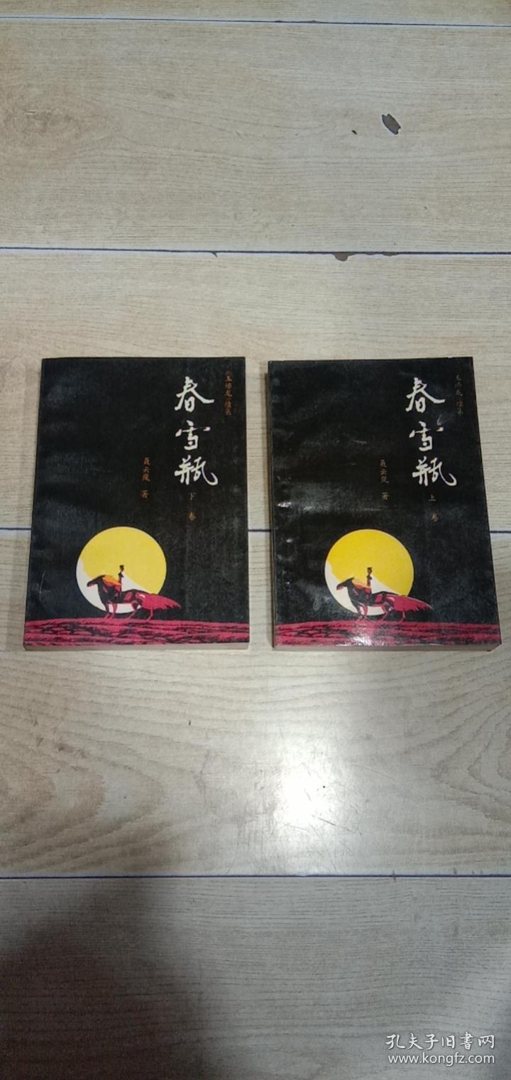 《玉娇龙》续集:春雪瓶(上下全)