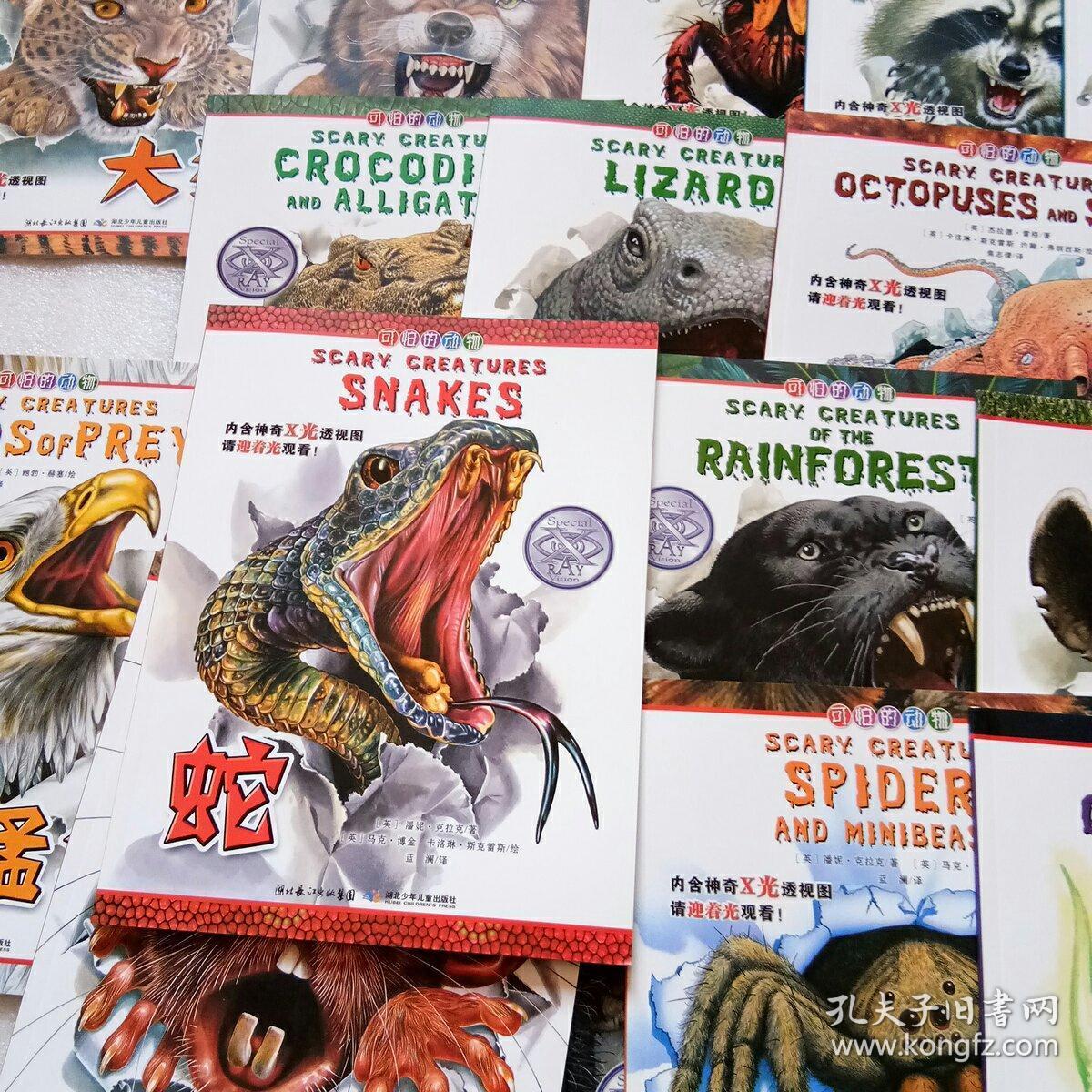 可怕的动物:蛇 鳄鱼,蜥蜴,章鱼和鱿鱼,恐龙,狼,猛禽,史前动物,雨林