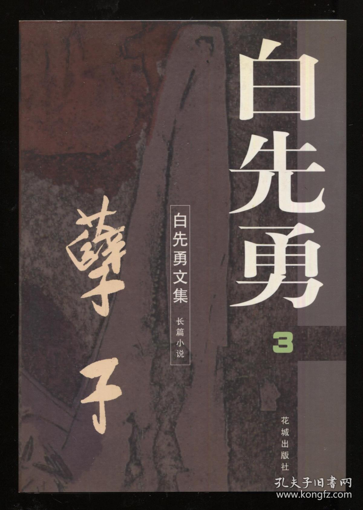 白先勇文集3孽子