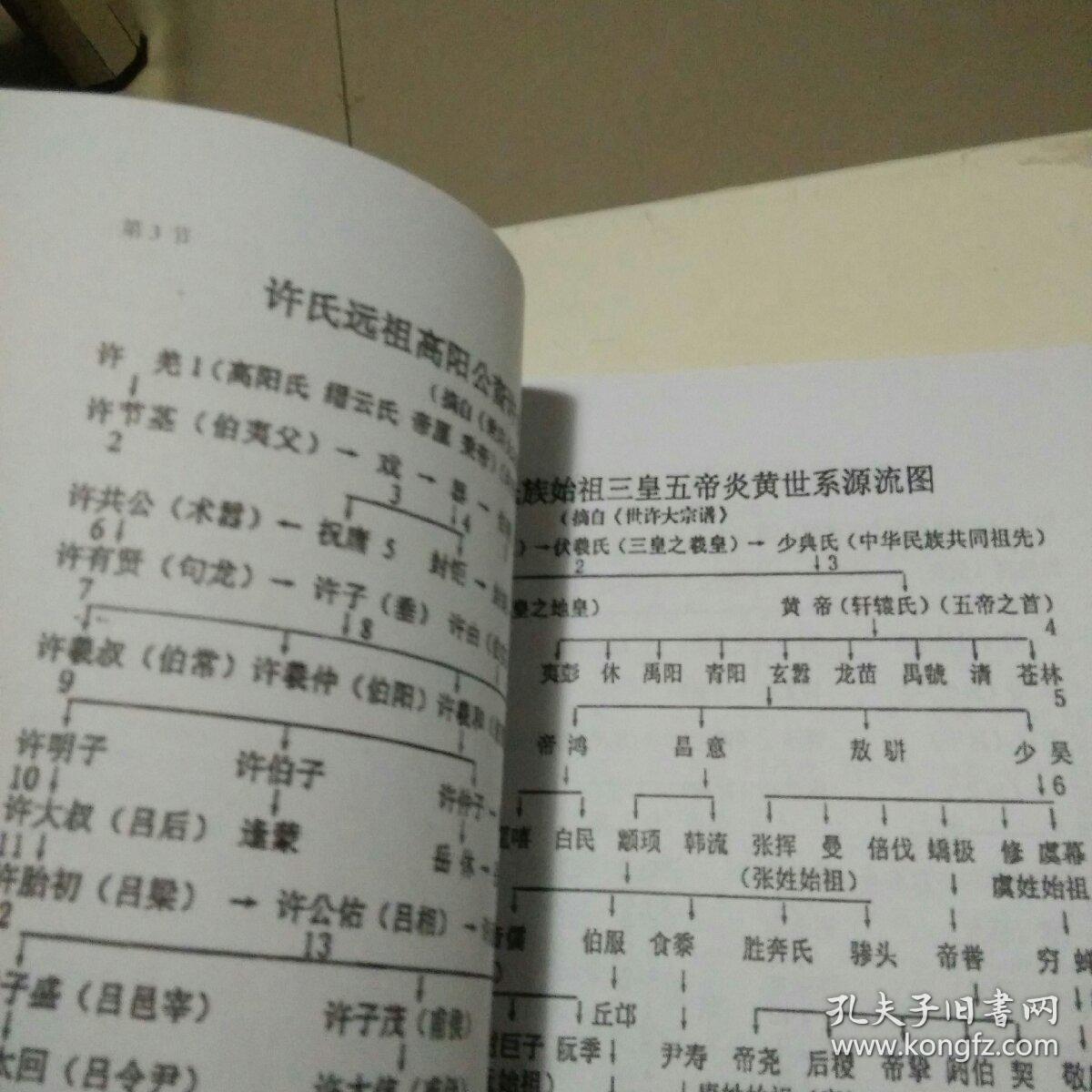 许氏家谱(许村)[内附许多医方]