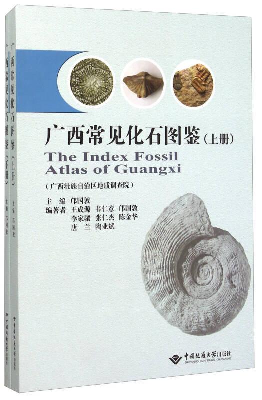 广西常见化石图鉴：全2册