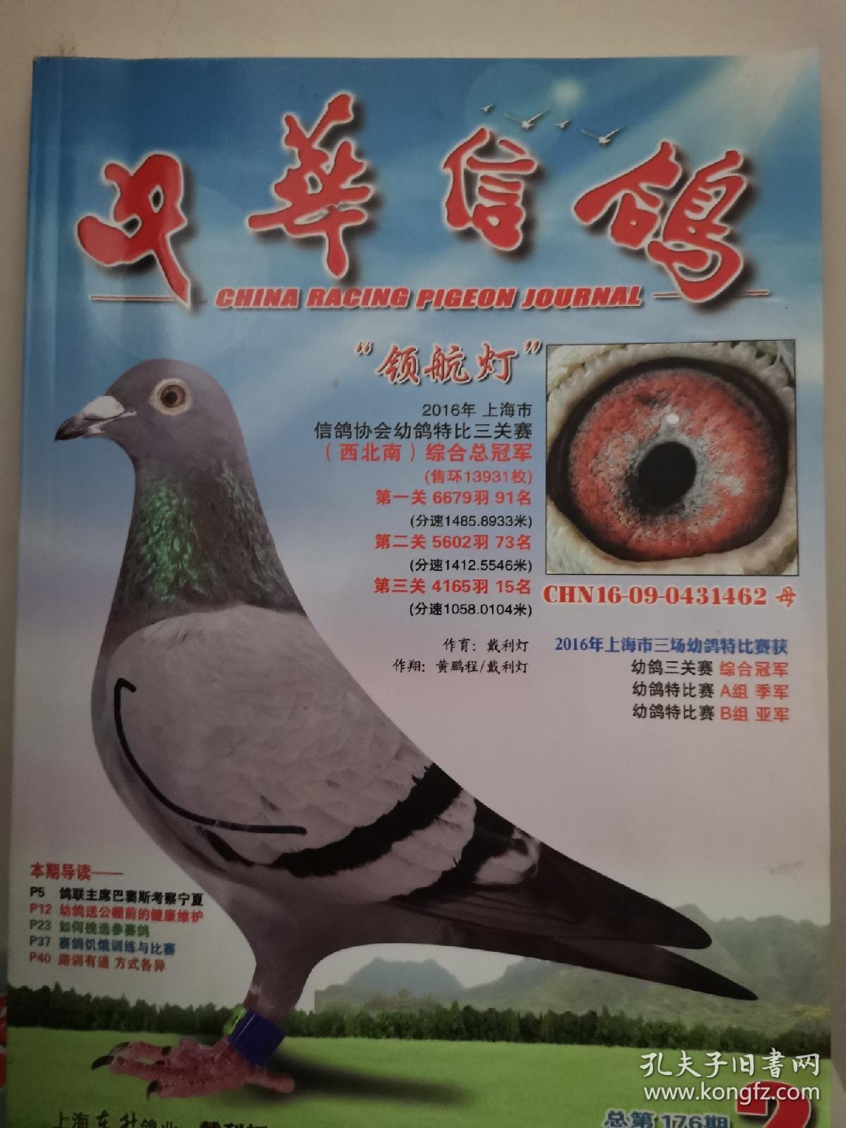 中华信鸽杂志2017-2