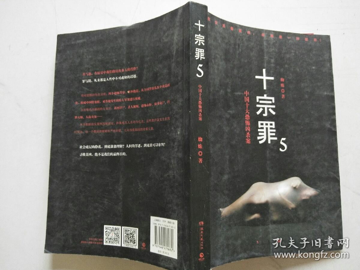 十宗罪5:中国十大凶杀案