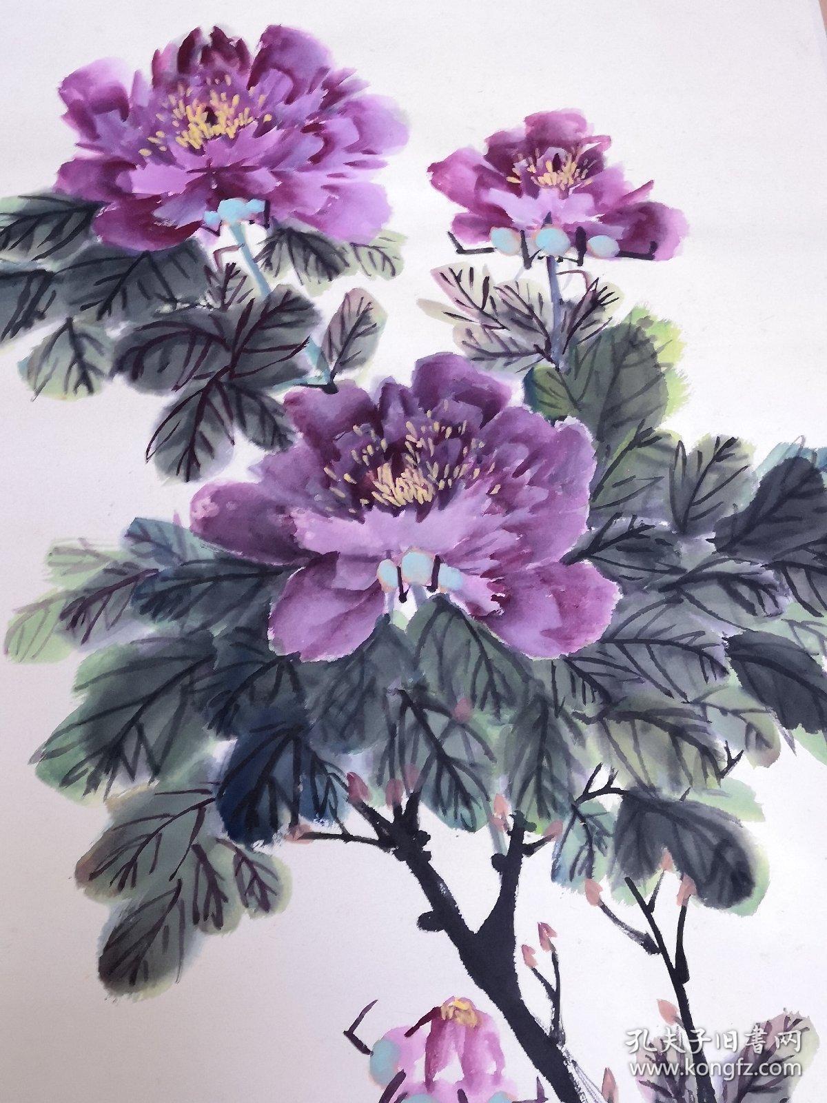 郑志坚 国画 富贵牡丹 丁卯仲春 带画轴详情自看图